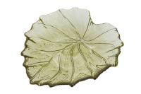 блюдолистзел