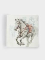 коньсалфетка