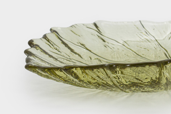 блюдолистзел3