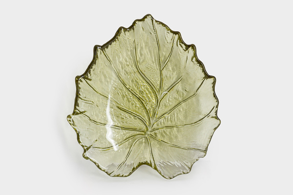 блюдолистзел1