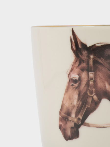 головалошад2