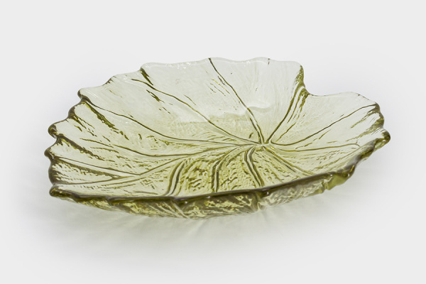 блюдолистзел2