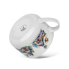 13762_1