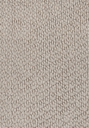 кокосер6590 (1)