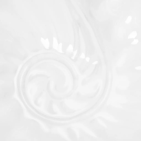 13564_3