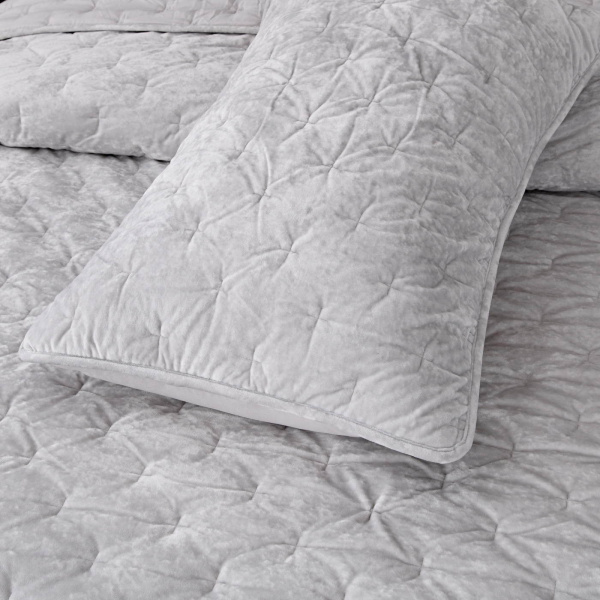 алирасвсер2402604