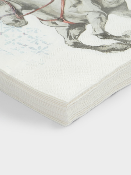 коньсалфетка3