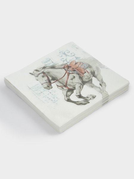 коньсалфетка2